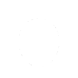 Oval Shape